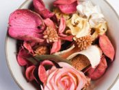 potpourri