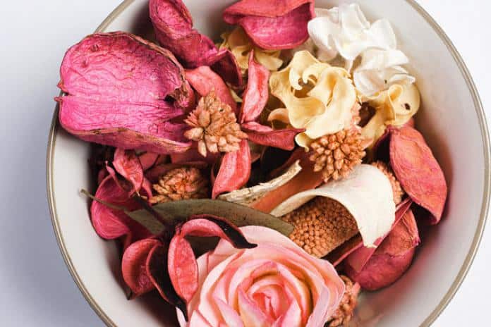 potpourri