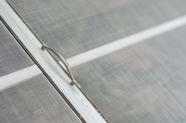 zanzarie-dove-comprarle